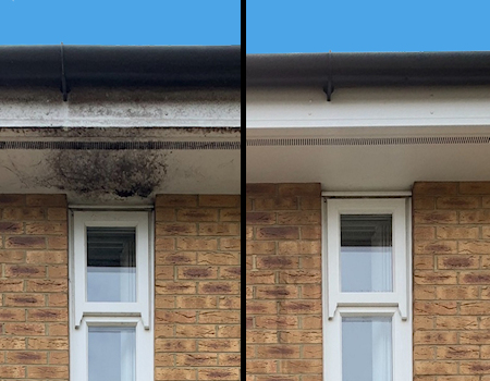 Fascia and soffit cleaning